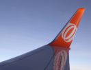 Avión gol