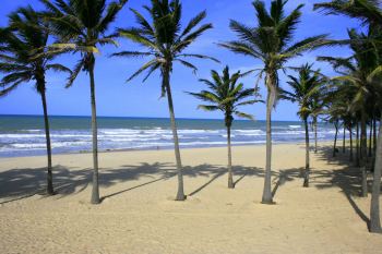 Praia do Futuro